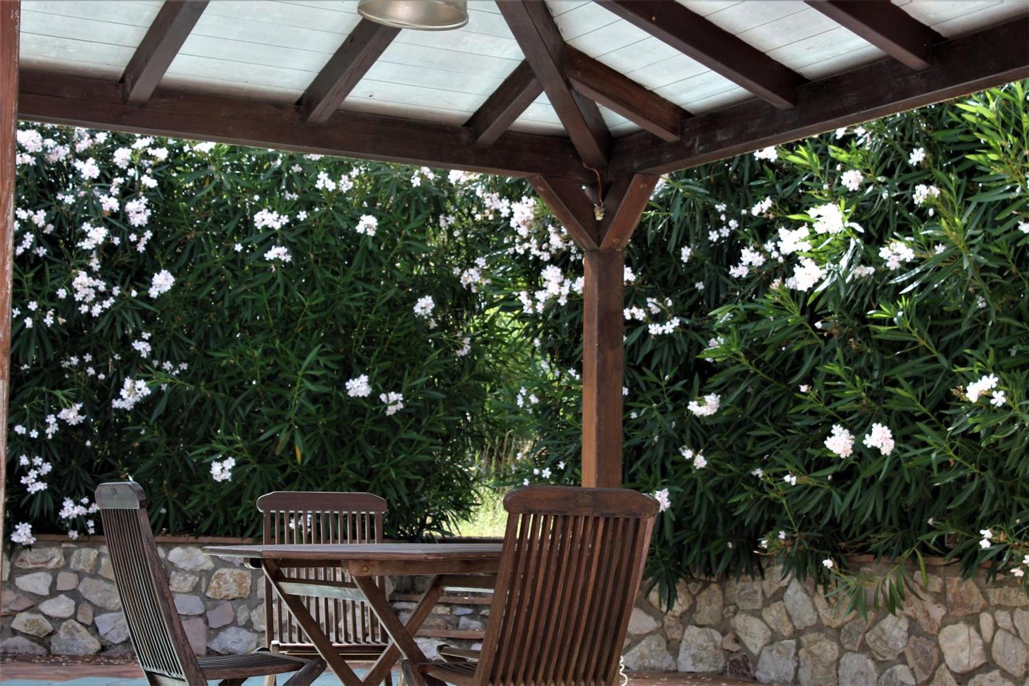 Residence Les Oliviers Porto Azzurro Extérieur photo