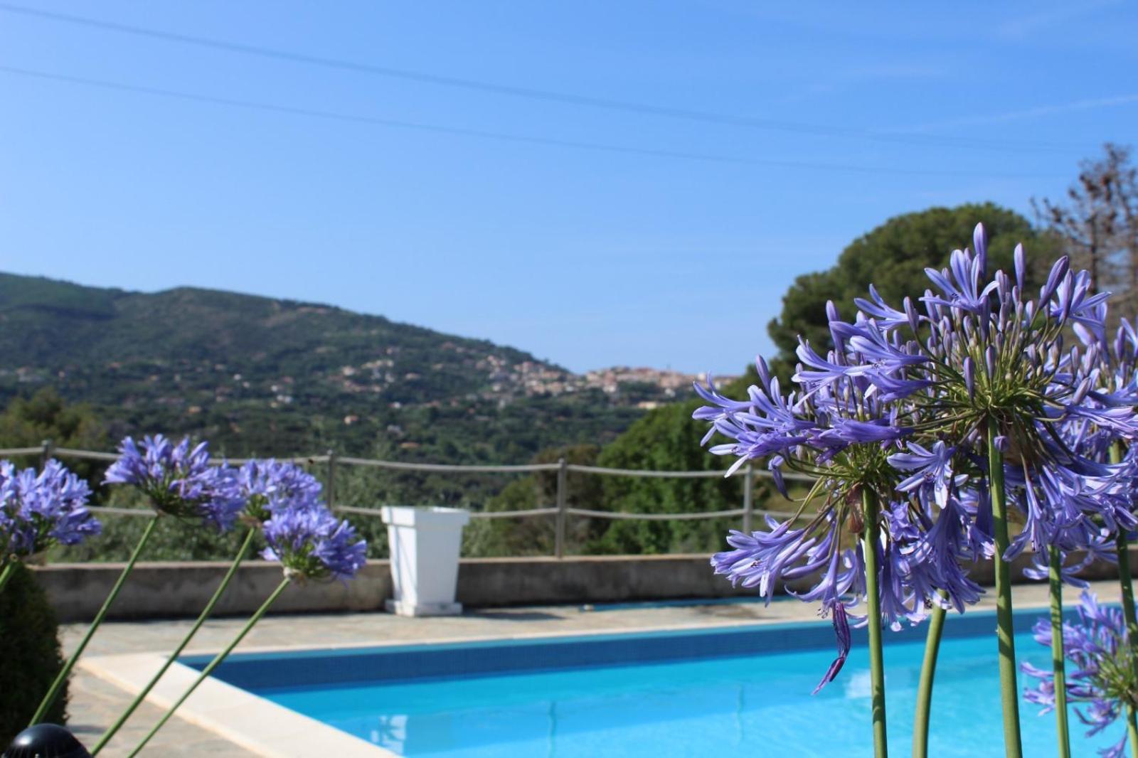 Residence Les Oliviers Porto Azzurro Extérieur photo
